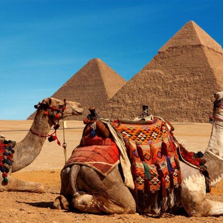 8 DAY EGYPT EXPERIENCE. JoyFun Travel offer Egypt Tours from South Africa 2027  Top All-Inclusive Packages Discover ancient pharaohs with our premium Egypt tours with JoyFun Travel from South Africa. Packages include return flights from OR Tambo, 5-star Nile cruises, Historial sites, Adventure and local Egyptologist guides. Book your dream holiday today! This Package includes Mt sinai and Sharm el sheikh. Book early and Reserve your place