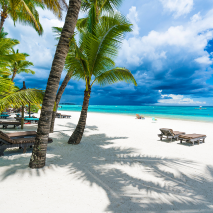 5 DAY RELAXING IN MAURITIUS  Join us on a holiday and discover Paradise in Mauritiu. Travel from South Africa  JoyFun Travel offer travelers premium relaxing holidays. From luxurious beachfront resorts to thrilling island adventures, our holiday packages are designed to give you the perfect blend of relaxation, culture, and exploration. Swim with vibrant marine life, wander through lush botanical gardens, taste exotic Creole cuisine, and soak in the island’s rich history. Whether you’re planning a romantic getaway, a family holiday, or an adventure with friends, Mauritius offers unforgettable moments at every turn. All Packages includes return flights from OR Tambo. Book your dream holiday today! 